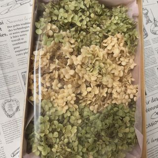 紫陽花　ドライフラワーBOX④(ドライフラワー)