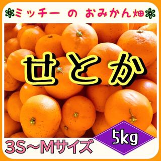 《訳あり》フルーツ果物くだもの果実みかん柑橘《せとか(小玉)／えひめ産》(フルーツ)