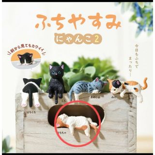 ふちやすみ  にゃんこ2  はちちゃ  ガチャガチャ フィギュア(その他)