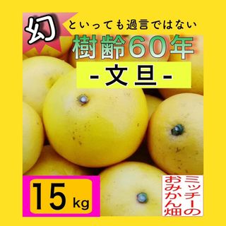 ●ぶんたん土佐文旦フルーツ果物くだもの果実みかん柑橘《文旦／えひめ産》(フルーツ)