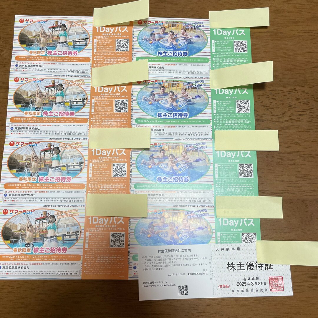東京サマーランド 株主優待 チケットの優待券/割引券(その他)の商品写真