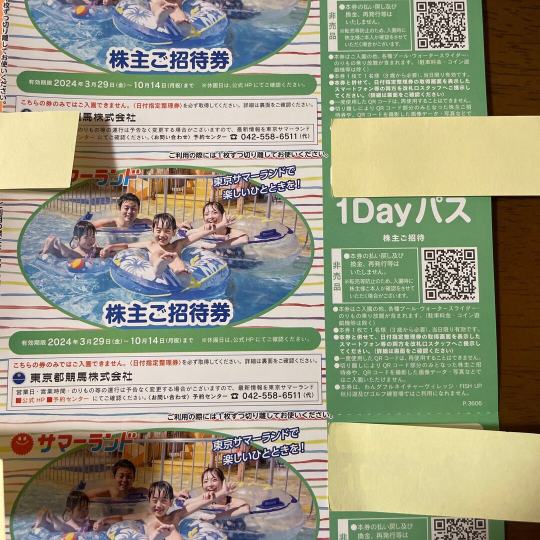 東京サマーランド 株主優待 チケットの優待券/割引券(その他)の商品写真