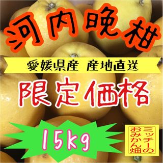 かわちばんかん（愛南ゴールド）【訳あり】《河内晩柑／えひめ県産》(フルーツ)