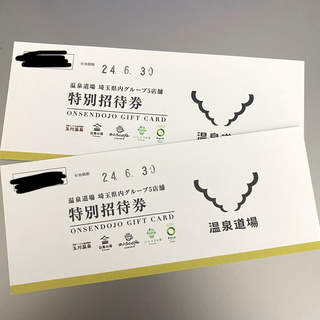 【C様専用】温泉道場 特別招待券2枚セット