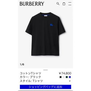 バーバリー(BURBERRY)のバーバリー(新作)Tシャツ(Tシャツ(半袖/袖なし))