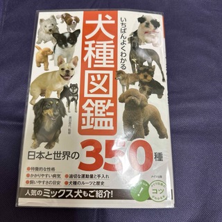 いちばんよくわかる犬種図鑑日本と世界の３５０種 犬図鑑