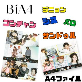 B1A4  ファイル A4ファイル 韓国 アイドル ビーワンエーフォー(アイドルグッズ)