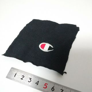 チャンピオン(Champion)のチャンピオン ロゴ 刺繍 ワンポイント マーク(Tシャツ/カットソー(半袖/袖なし))