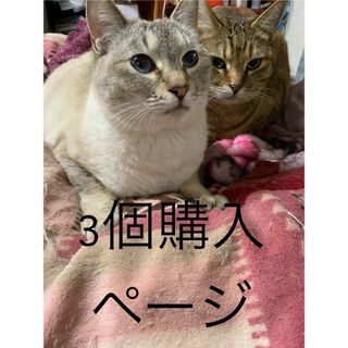 3個購入　専用ページ(その他)