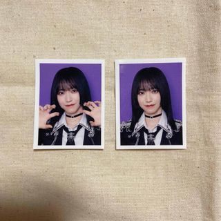 野口衣織  イコラブ ID PHOTO vol.3 セミコンプ(アイドルグッズ)