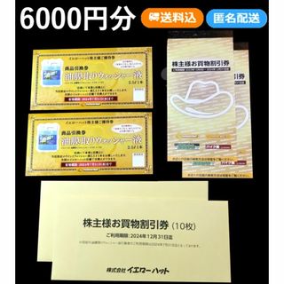 イエローハット 株主優待お買物割引券 6000円分＋油膜取りウォッシャー券(ショッピング)