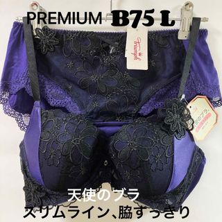 トリンプ(Triumph)のB75 トリンププレミアム レッドレーベル 0075 ブラジャー &ショーツ(ブラ&ショーツセット)