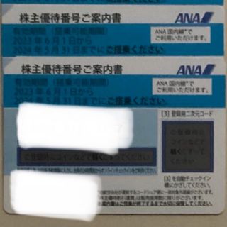 エーエヌエー(ゼンニッポンクウユ)(ANA(全日本空輸))のANA 株主優待券　2枚(その他)