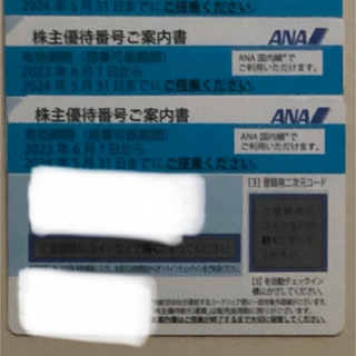 ANA(全日本空輸)