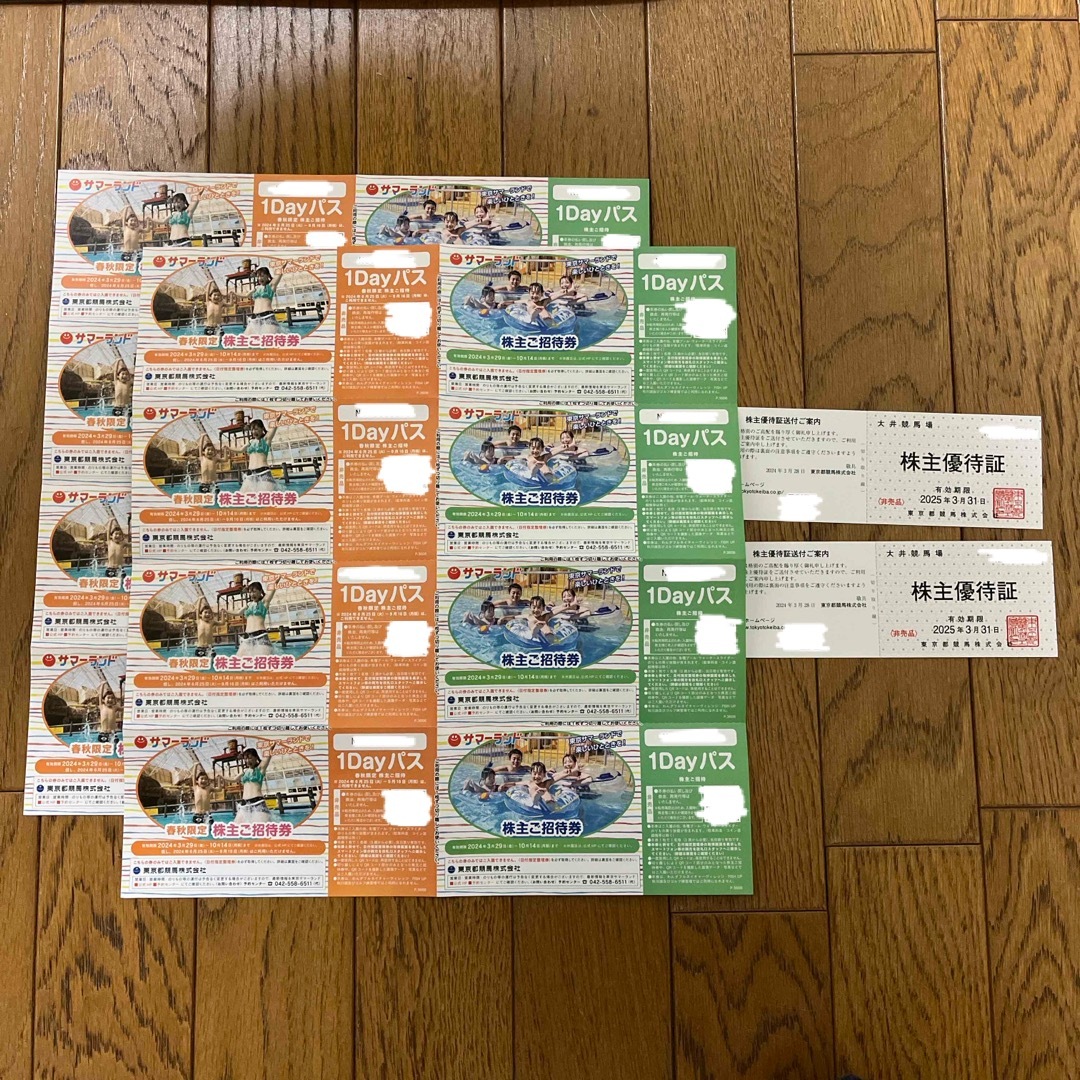 東京都競馬 株主優待 2セット サマーランド 1Dayパス 東京都競馬 株主優待 2セット サマーランド 1Dayパス