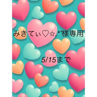 みきてぃ♡✩.*˚様専用