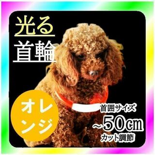 新品送料無料 ペット用 夜のお散歩 光る首輪 50㎝ オレンジ(犬)