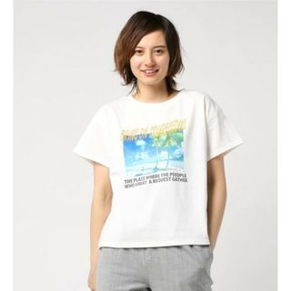 イング(INGNI)の新品　イング　tシャツ(Tシャツ(半袖/袖なし))