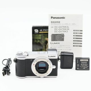 ★ショット数9779回★ Panasonic DC-GX7MK3-S #3389(ミラーレス一眼)