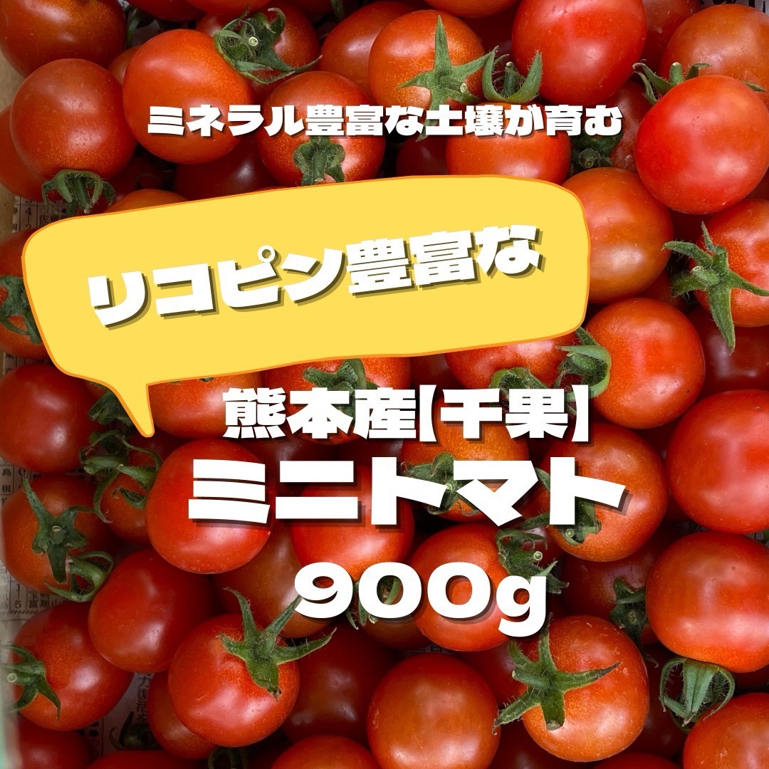 ミニトマト　900g 野菜　熊本産　弁当　ミネラル　リコピン　産地直送　おかず 食品/飲料/酒の食品(野菜)の商品写真