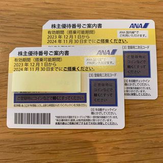 エーエヌエー(ゼンニッポンクウユ)(ANA(全日本空輸))のANA 株主優待　2024/11/30まで　2枚(航空券)