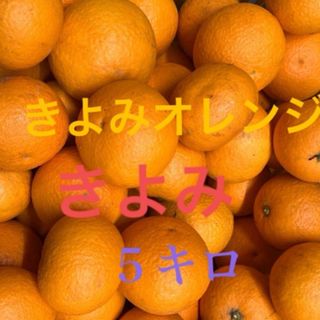 きよみオレンジ５キロ 訳あり(野菜)