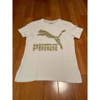 PUMA プーマ　Tシャツ　Mサイズ