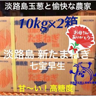 淡路島産新玉ねぎ 七宝早生10kg×2箱 高糖度 新たまねぎ 新玉葱(野菜)