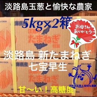 淡路島産 新玉ねぎ 七宝早生5kg×2箱 高糖度 新 たまねぎ 新玉葱(野菜)