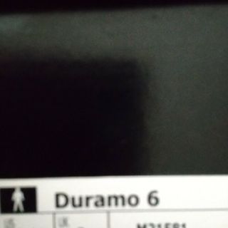 duramo6(スニーカー)