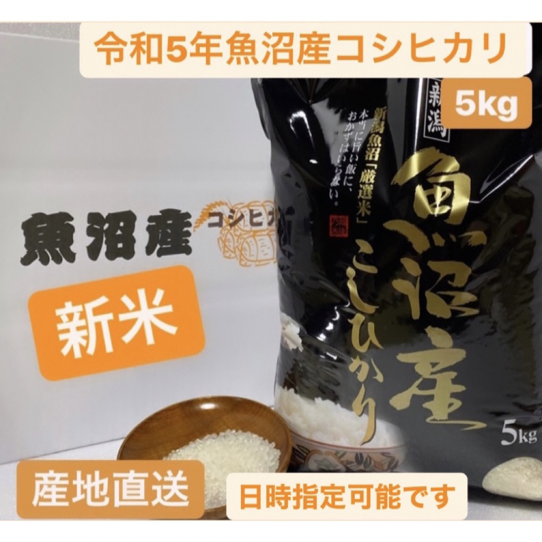 【新米】令和5年産 魚沼産コシヒカリ 5kg　農家のお米  食品/飲料/酒の食品(米/穀物)の商品写真