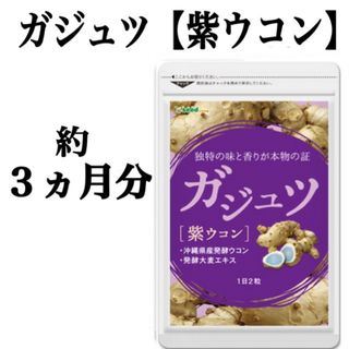 【ガジュツ】約３ヵ月分 ☆夜のお付き合いが多い方、お酒が好きな方に！(その他)