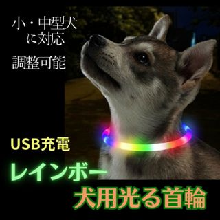 首輪 犬 光る レインボー おしゃれ 夜 散歩 LEDライト USB充電 安全 (犬)