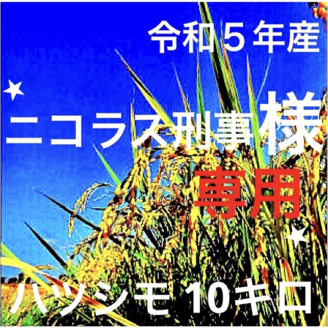 ⭐️ニコラス刑事様専用⭐️R５年産✳️減農・有機肥料・無添加ハツシモ10キロ 食品/飲料/酒の食品(米/穀物)の商品写真