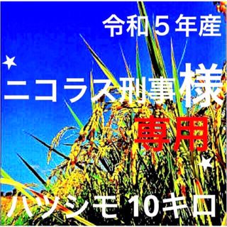 ⭐️ニコラス刑事様専用⭐️R５年産✳️減農・有機肥料・無添加ハツシモ10キロ(米/穀物)