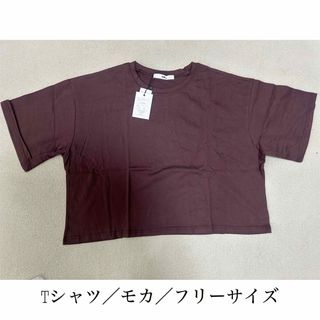 Tシャツ　モカ　フリーサイズ　レディース  トップス　新品未使用タグ付き(Tシャツ(半袖/袖なし))