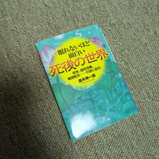 眠れないほど面白い死後の世界(その他)