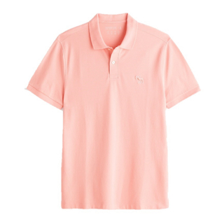 アバクロンビーアンドフィッチ(Abercrombie&Fitch)のアバクロAbercrombie&Fitchストレッチ半袖ポロシャツpsx020(ポロシャツ)