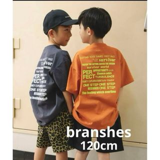 ブランシェス(Branshes)の♢新品タグ付♢ ブランシェス アソートグラフィック半袖BIGTシャツ 120cm(Tシャツ/カットソー)