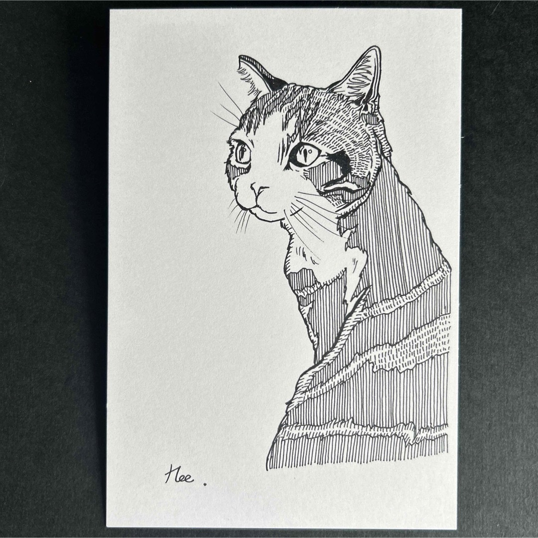 ボールペン画　猫 ハンドメイドのインテリア/家具(アート/写真)の商品写真