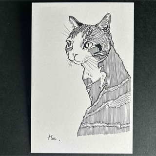 ボールペン画　猫(アート/写真)