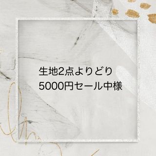 生地2点よりどり5000円セール中様