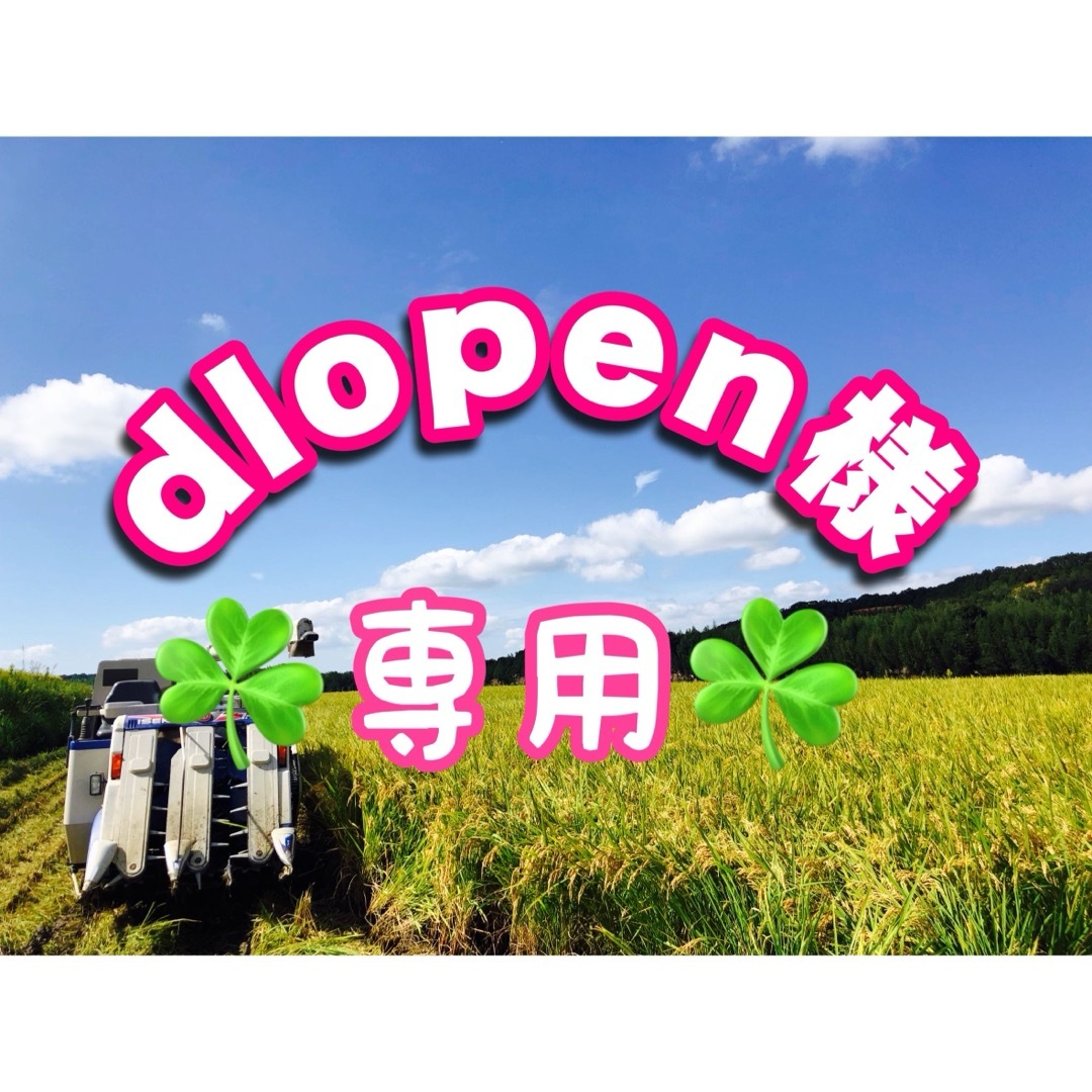 dlopen様✨専用令和5年兵庫県産ﾋﾉﾋｶﾘ30kg送料･精米無料･時間指定🆗 食品/飲料/酒の食品(米/穀物)の商品写真