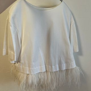 ルシェルブルー(LE CIEL BLEU)の美品　ルシェルブルー　フェザーカットソー(カットソー(半袖/袖なし))