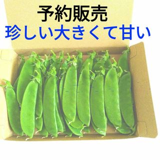 珍しい絹さやえんどう＊キヌサヤエンドウ・シャンパーニュ・正味300g(野菜)