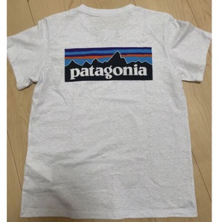 パタゴニア(patagonia)のパタゴニア　Patagonia Tシャツ　美品(Tシャツ(半袖/袖なし))