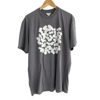 ミナペルホネン(mina perhonen)のmina perhonen (mina)(ミナペルホネン) 半袖Tシャツ レディース美品  - グレー×白(Tシャツ(半袖/袖なし))