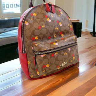 コーチ(COACH)の【美品】コーチ シグネチャー リュック F31372 チェリー柄 バックパック(リュック/バックパック)