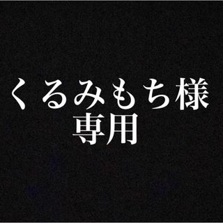 くるみもち様専用(カーナビ/カーテレビ)