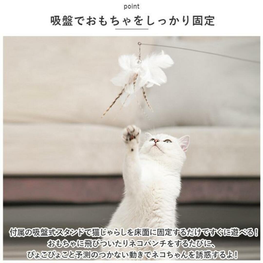 【並行輸入】猫じゃらし 吸盤式 kcattoy13 その他のペット用品(猫)の商品写真